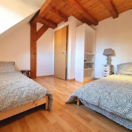 דירה Le Schmoutz: Duplex Entre Colmar Et Mulhouse