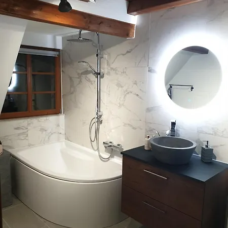 Le Schmoutz: Duplex Entre Colmar Et Mulhouse Apartment