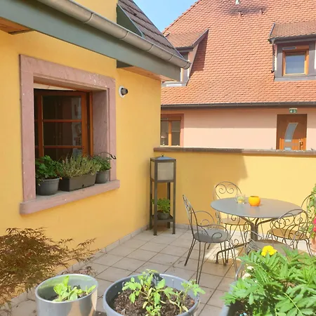 Le Schmoutz: Duplex Entre Colmar Et Mulhouse *